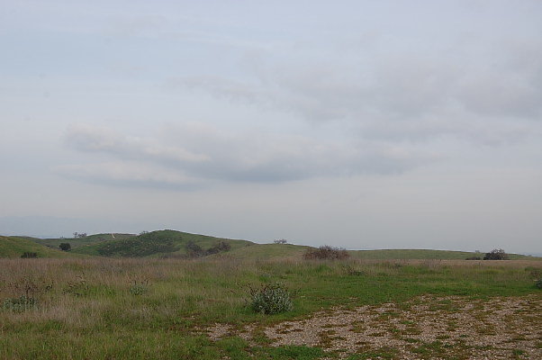 DSC 0238