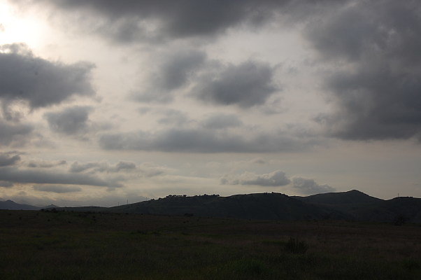 DSC 0224
