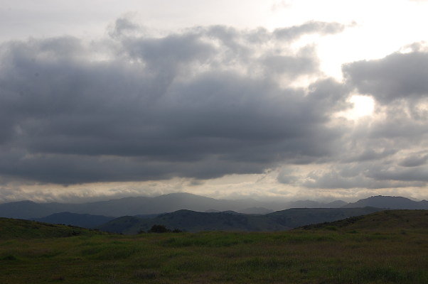 DSC 0223