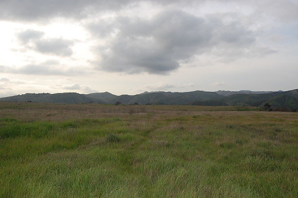 DSC 0230