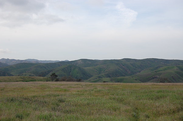 DSC 0234