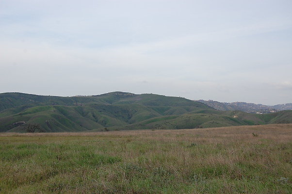 DSC 0235