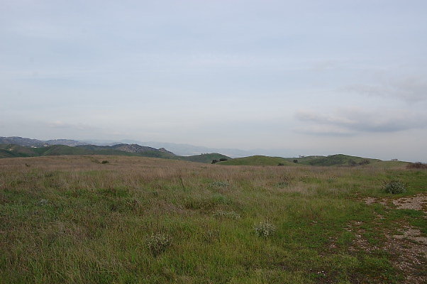 DSC 0232