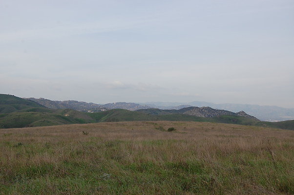 DSC 0236