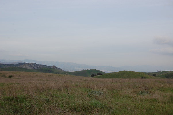 DSC 0237