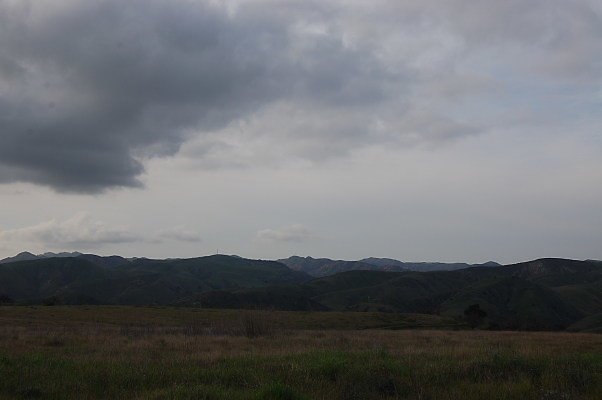 DSC 0225