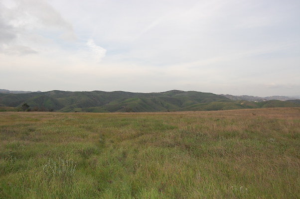 DSC 0231