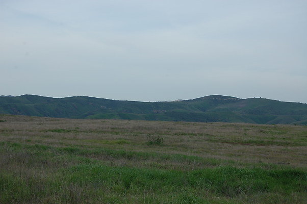 DSC 0218