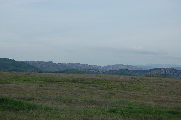 DSC 0219