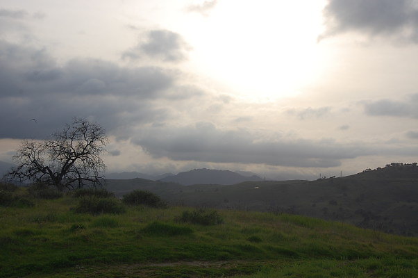 DSC 0262