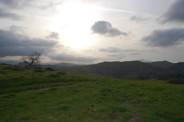 DSC 0264