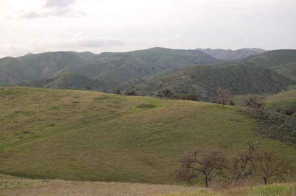 DSC 0252