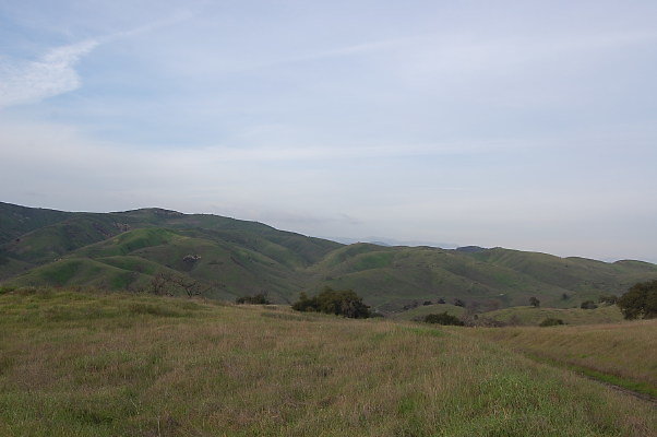 DSC 0251