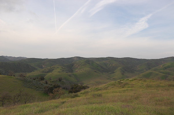 DSC 0250
