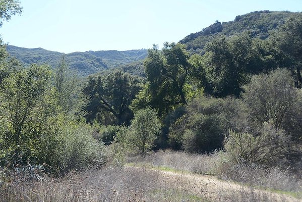 DSC 6401