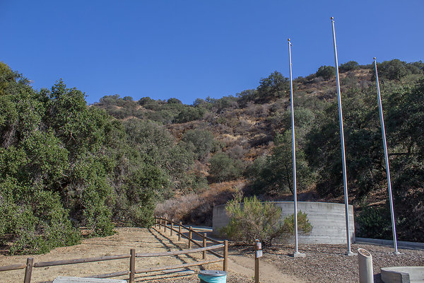 IMG 0263