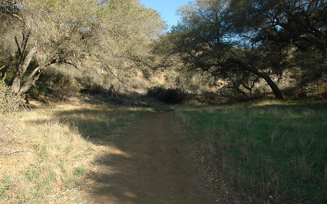 DSC 0255
