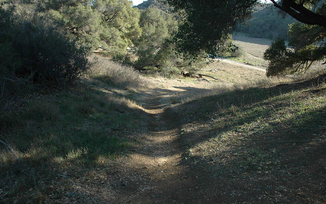 DSC 0246