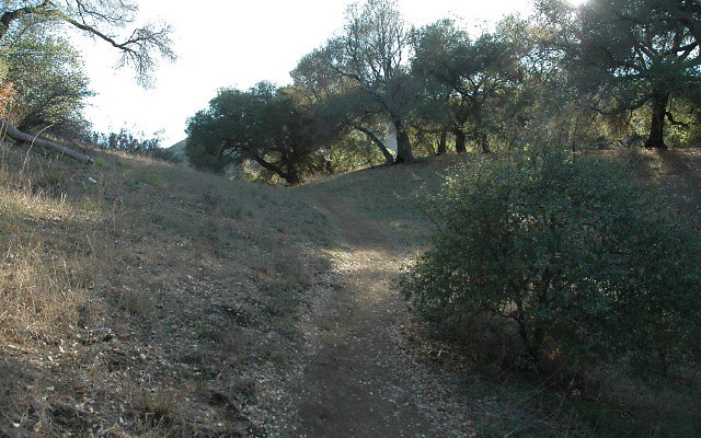 Camp Ground Trail