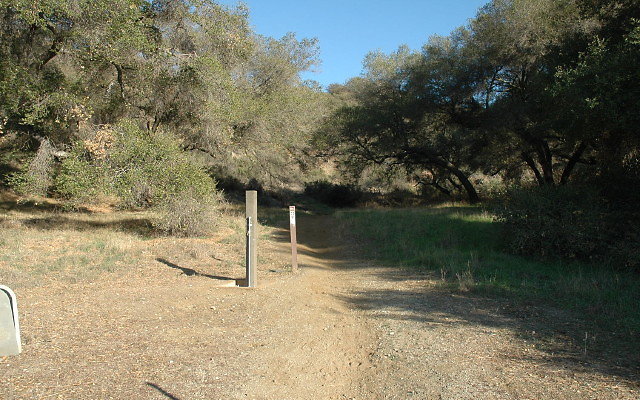DSC 0254