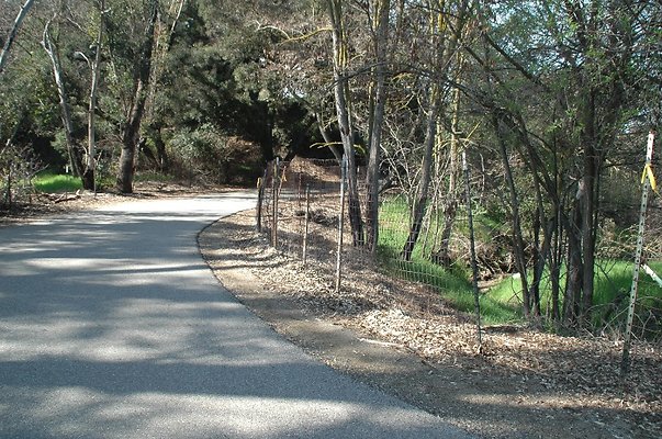 WicklandRd 10