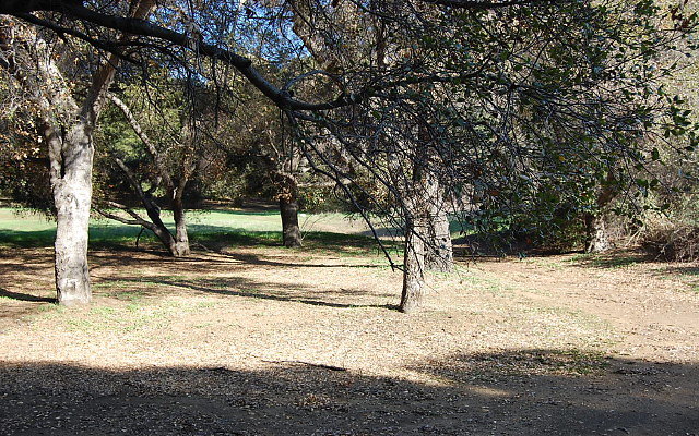 DSC 0413