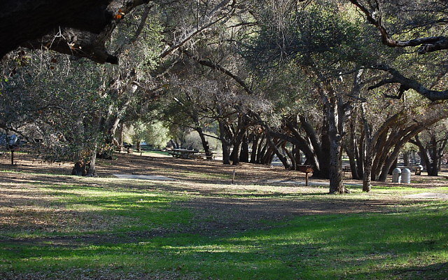 DSC 0420