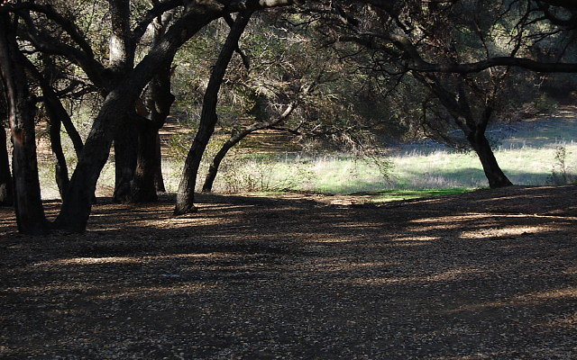 DSC 0412