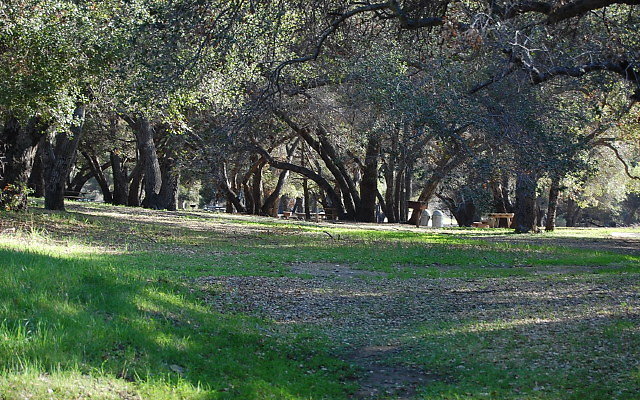 DSC 0417