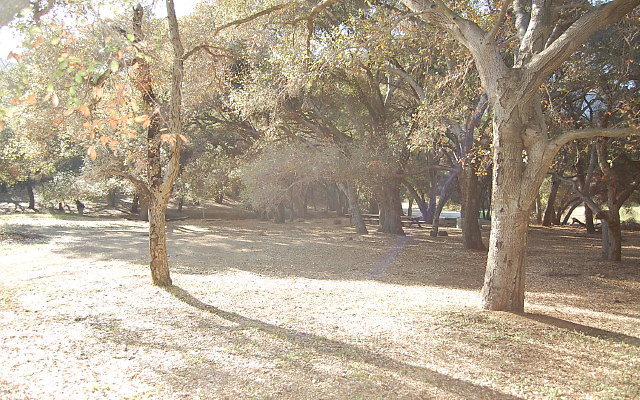 DSC 0406