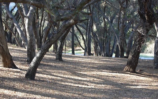 DSC 0414