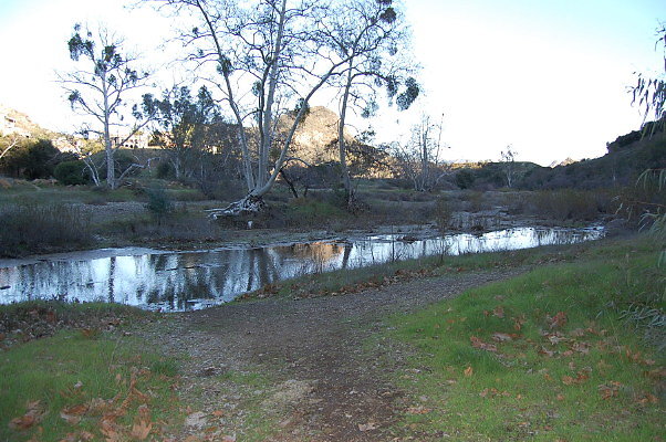 DSC 0112