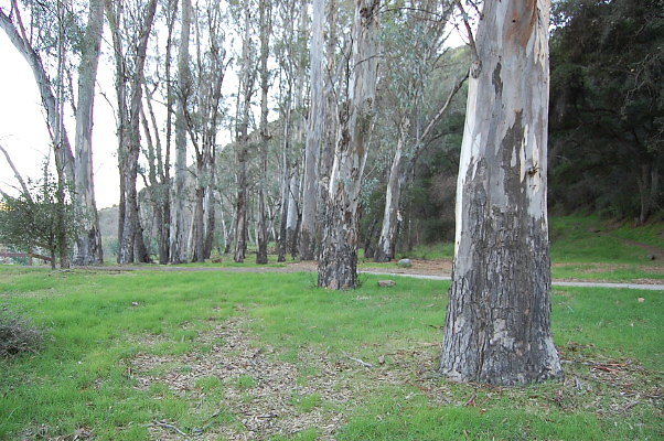 DSC 0100