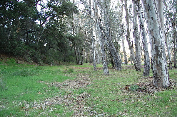 DSC 0127