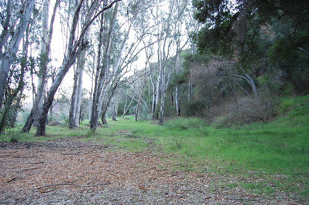DSC 0131