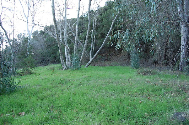 DSC 0123