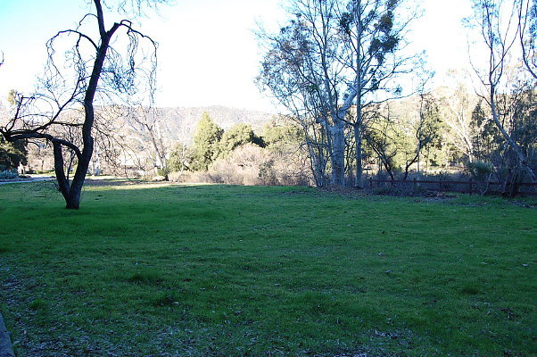 DSC 0132