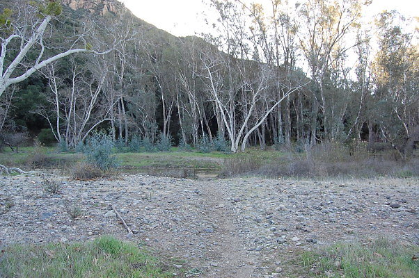 DSC 0064