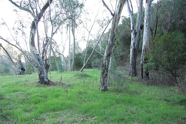 DSC 0125