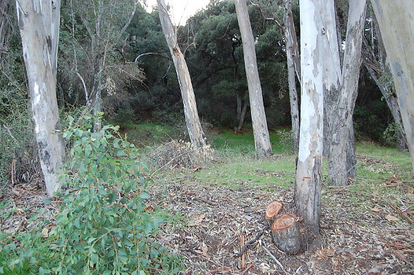DSC 0121