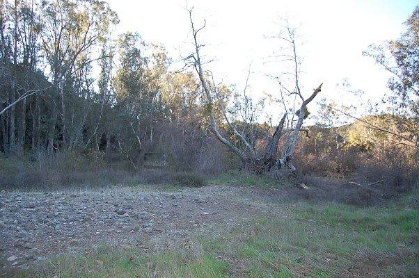 DSC 0065