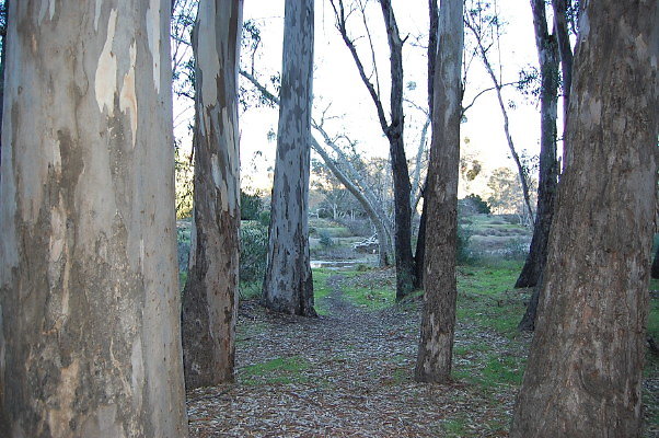 DSC 0104