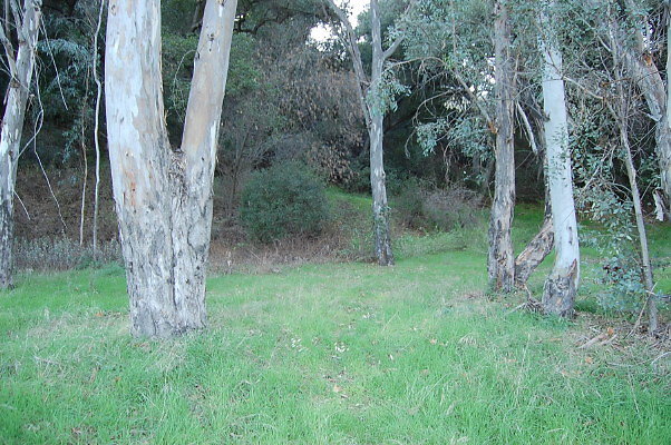 DSC 0124