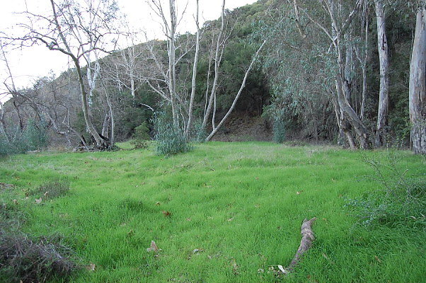 DSC 0120