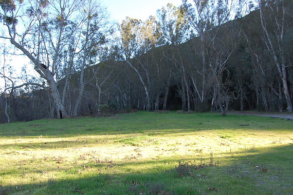 DSC 0090