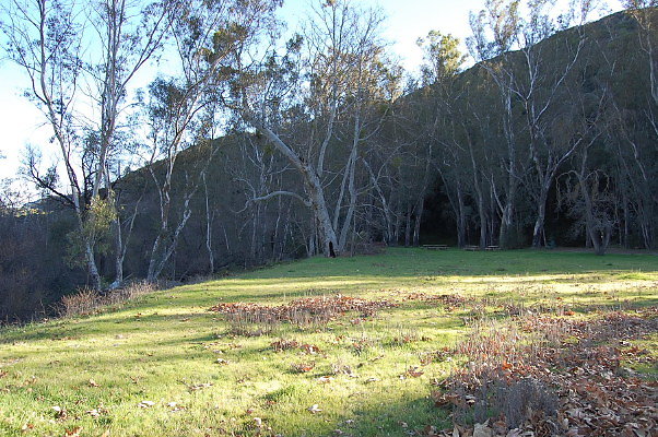 DSC 0088