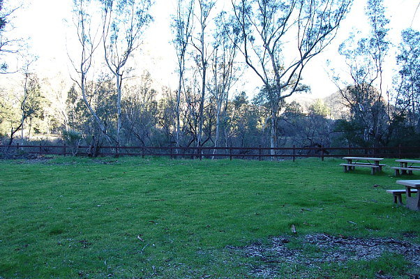 DSC 0133