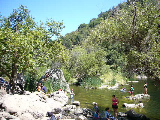 Malibu Creek State Park.Pond Area