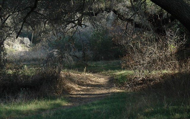 DSC 0259