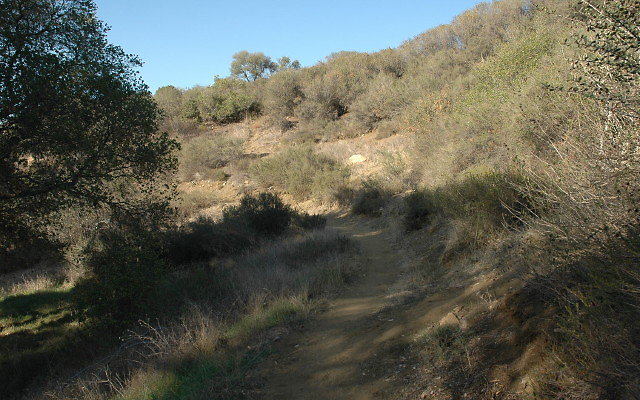 DSC 0267